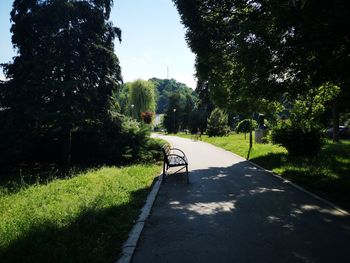 Road amidst trees in city against sky