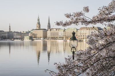 Germany, hamburg, inner alster lake in spring with street light and cherry blossom branches in foreground