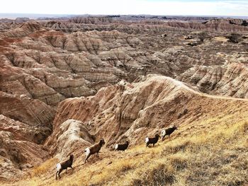 View of rock formations