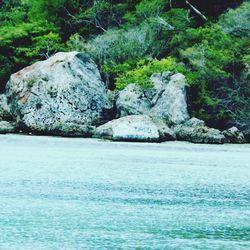 Scenic view of river against sky