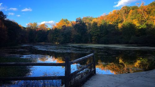 Scenic view of trees during autumn