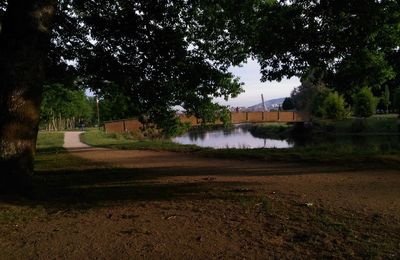 Scenic view of park against sky