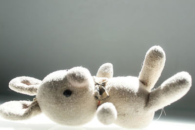 Close-up of stuffed toy against white background