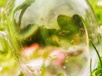Full frame shot of glass