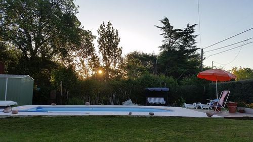 Trees by swimming pool against sky