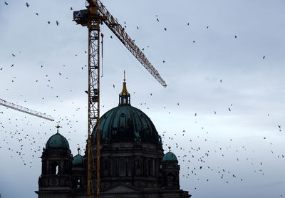 Low angle view of birds flying against sky