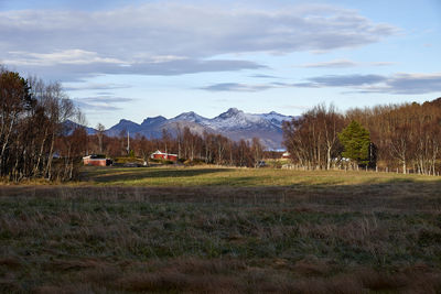 Scenic view of field against sky