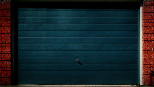 View of birds on building