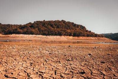 Once upon a time, there is lake in here...