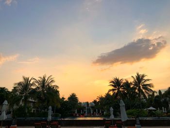 Palm trees against sky during sunset