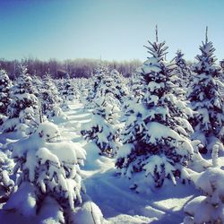 Scenic view of snow covered landscape