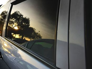 Reflection of trees on car window
