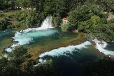 Scenic view of waterfall in forest