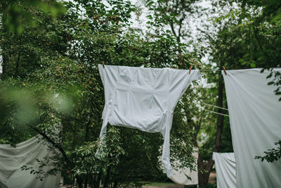 Low angle view of clothes drying on plant against trees