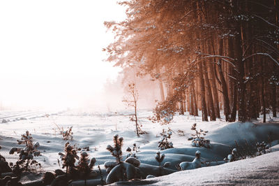 Scenic view of snow covered land against sky