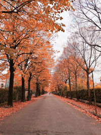 Road amidst trees against sky during autumn