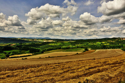 Scenic view of agricultural field against sky