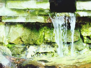 Close-up of icicles in water