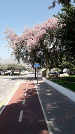 Road by trees against sky in city