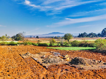 Scenic view of field against sky