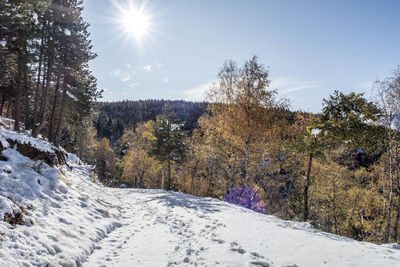 Scenic view of snow covered land against sky