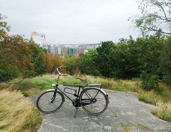 Bicycle on tree against sky