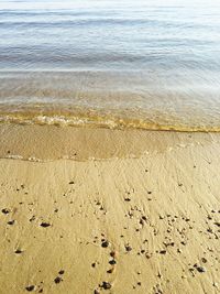 Scenic view of beach