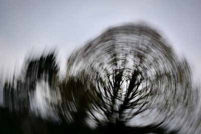 Digital composite image of trees against clear sky