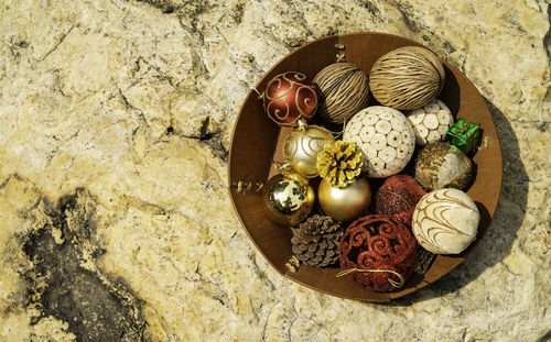 High angle view of shells on rock