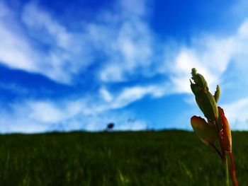 Scenic view of field against cloudy sky