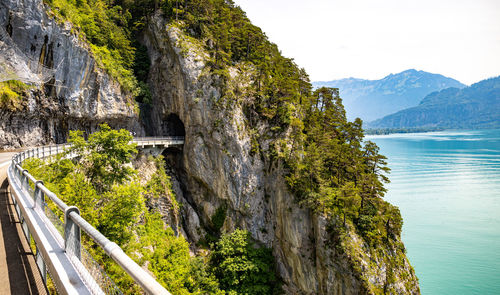 Scenic view of mountains and trees