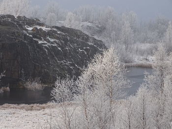 Scenic view of lake during winter