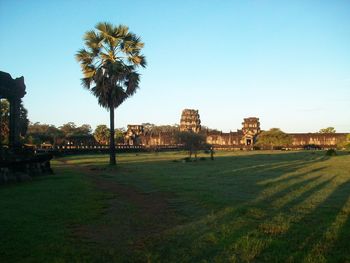 Trees on field against sky