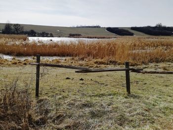 Scenic view of field against sky
