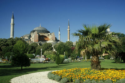 View of plants outside temple against clear sky