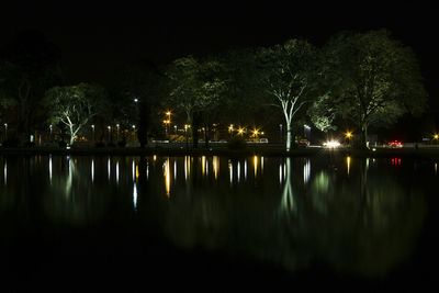 Reflection of trees in water at night