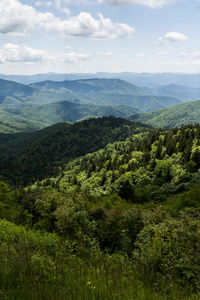 Scenic view along blue ridge parkway