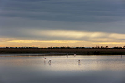 Scenic view of lake against sky during sunset