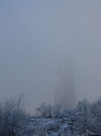 Statue on field against clear sky during winter