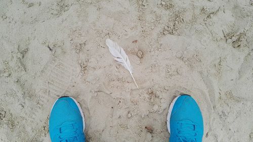Low section of person standing by feather on sand at beach