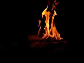 Close-up of bonfire at night