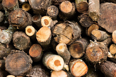 Background of dry chopped firewood logs stacked up on top of each other in a pile. 