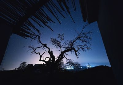 Low angle view of bare tree against sky at night