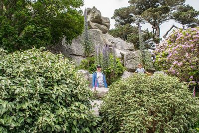 Statue amidst flowering plants against trees