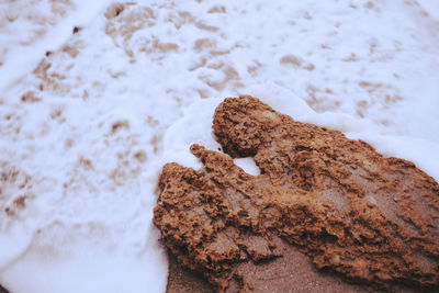 High angle view of cookies on rocks