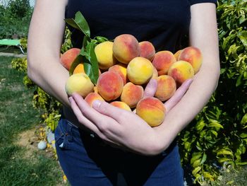 Midsection of woman holding peaches