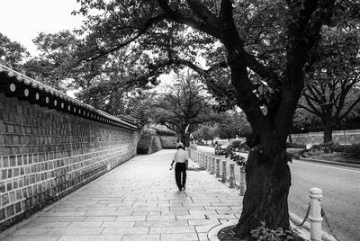 Footpath in park