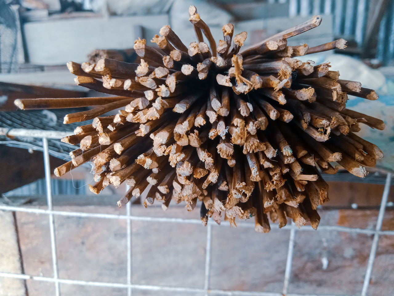 HIGH ANGLE VIEW OF DRIED FOOD ON WOOD