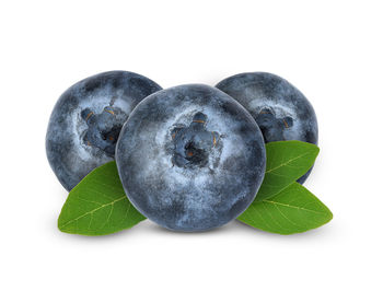 Close-up of fruit against white background