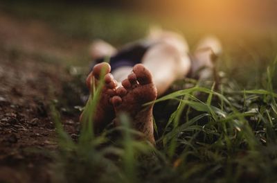 Low section of person lying down on field